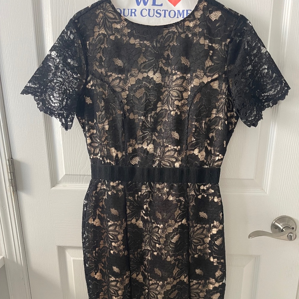 Alexia Admor  Delora Lace Sheath dress black/nude